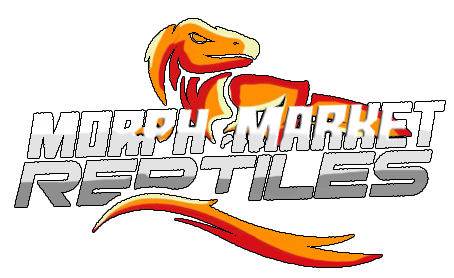 Morph Market Reptiles